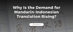 Illustration of a person facing a laptop and accompanied by Indonesian and Mandarin flag attributes