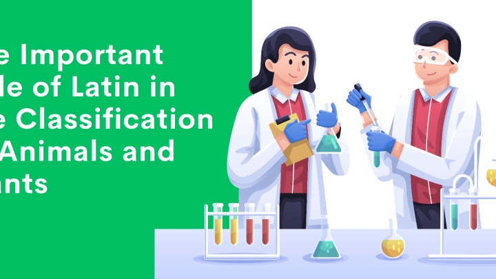 The Important Role of Latin in the Classification of Animals and Plants